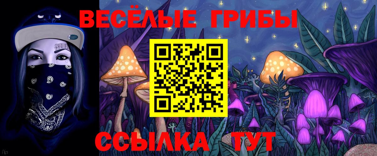 Псилоцибиновые грибы ЛСД  Вход с VPN  Большой Камень  Псилоцибиновые грибы мухоморы 